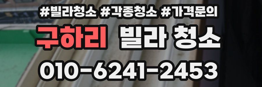 구하리 빌라 청소