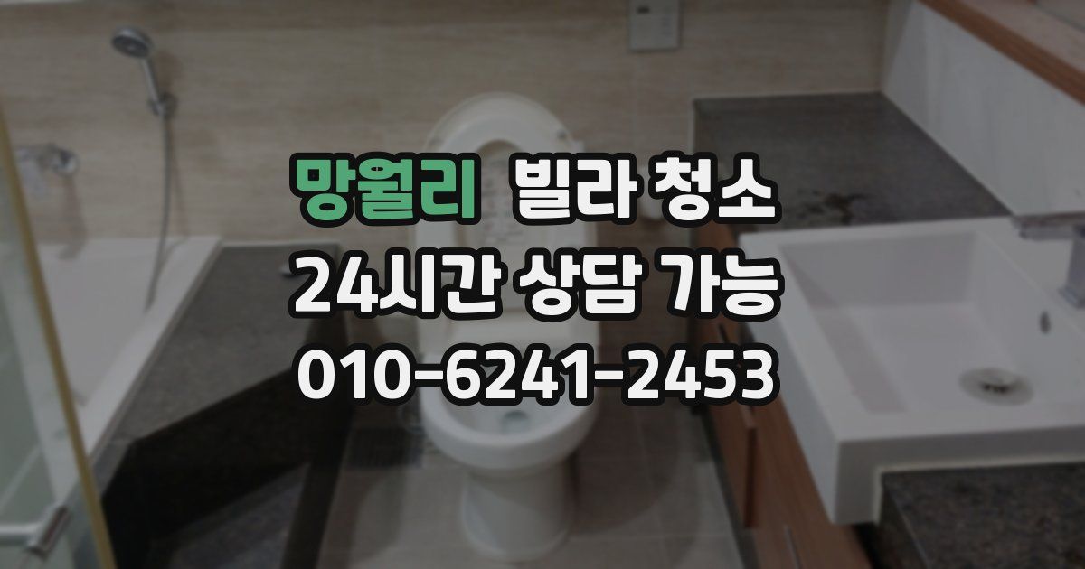 망월리 빌라 청소