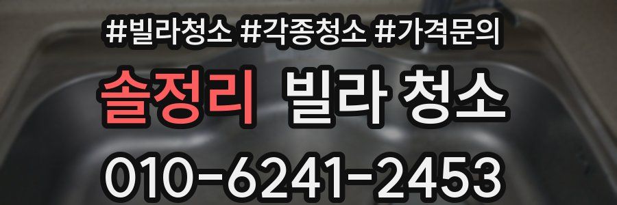 솔정리 빌라 청소