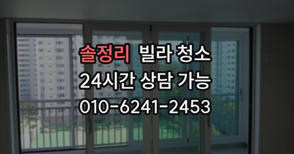 솔정리 빌라 청소