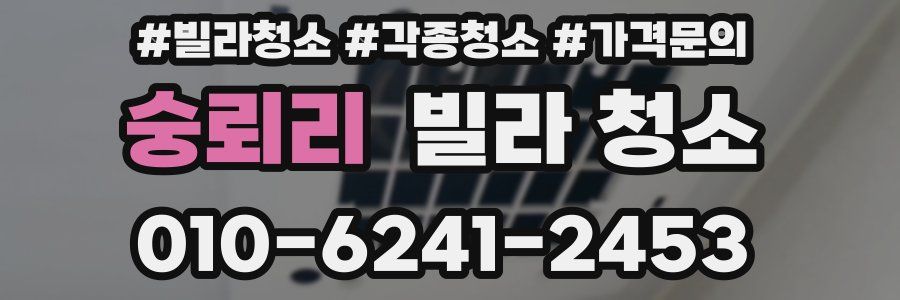 숭뢰리 빌라 청소