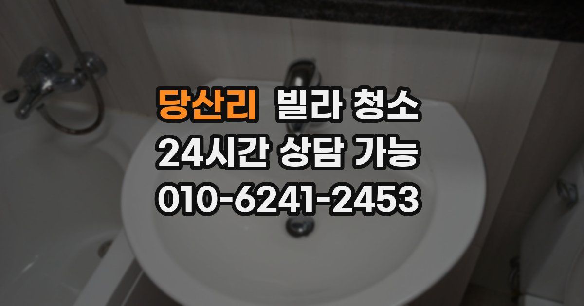 당산리 빌라 청소