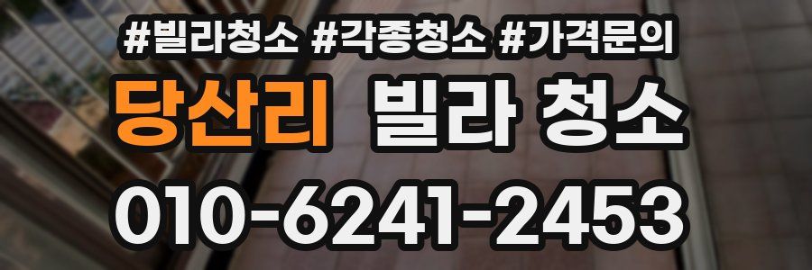 당산리 빌라 청소