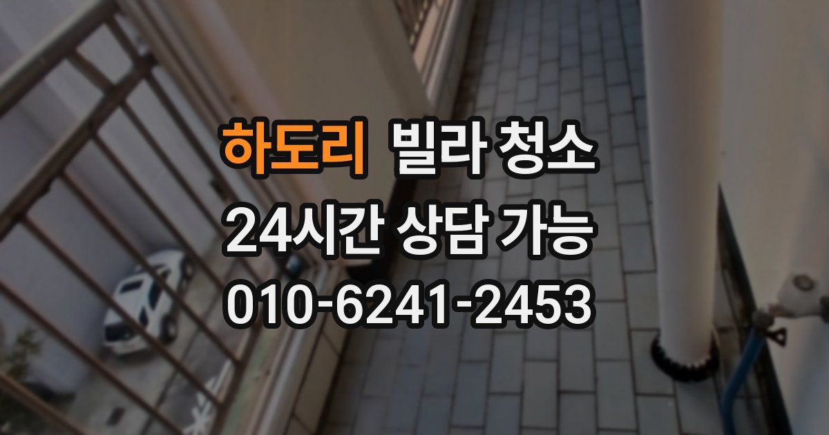 하도리 빌라 청소