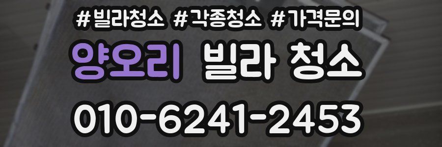 양오리 빌라 청소