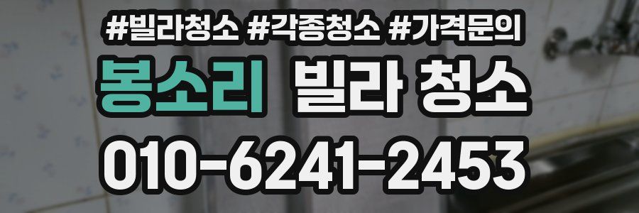 봉소리 빌라 청소