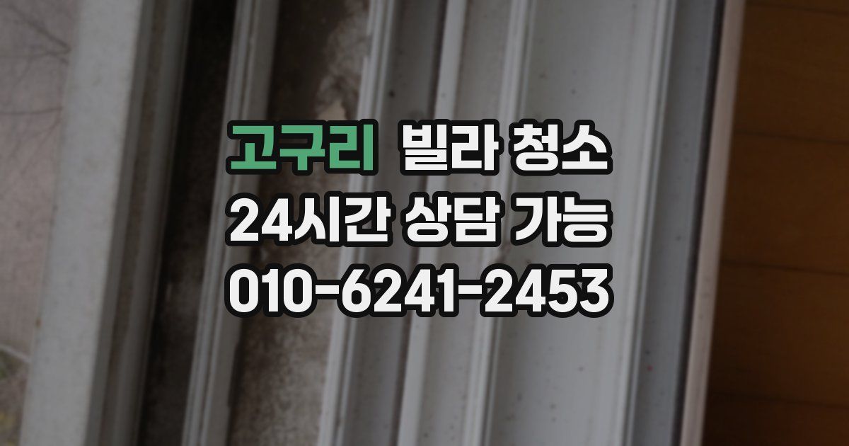 고구리 빌라 청소
