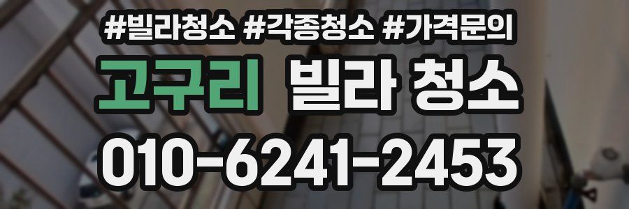 고구리 빌라 청소