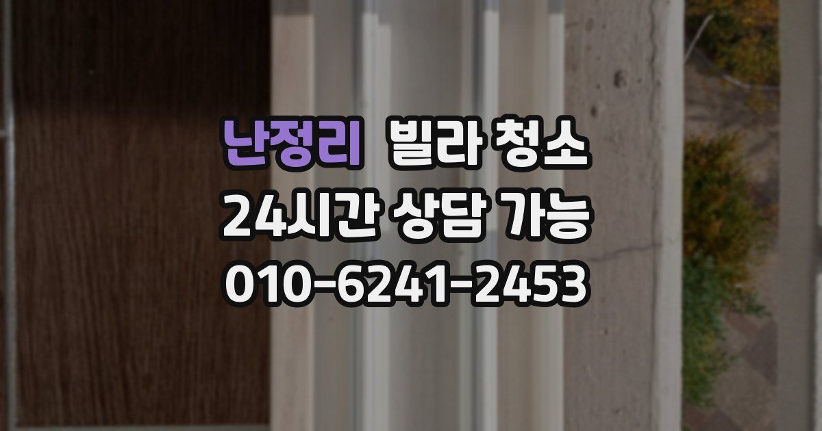 난정리 빌라 청소