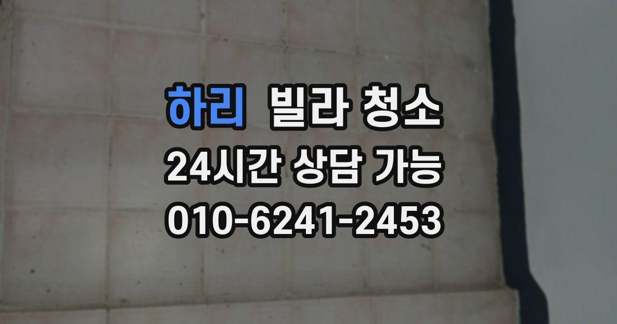 하리 빌라 청소