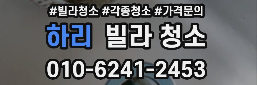 하리 빌라 청소