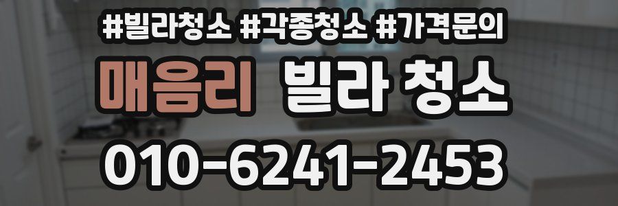 매음리 빌라 청소