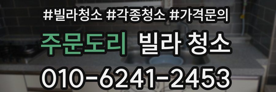 주문도리 빌라 청소