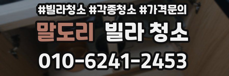 말도리 빌라 청소