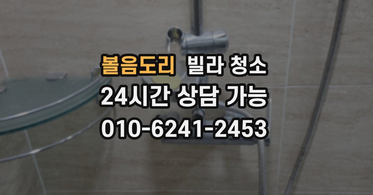 볼음도리 빌라 청소