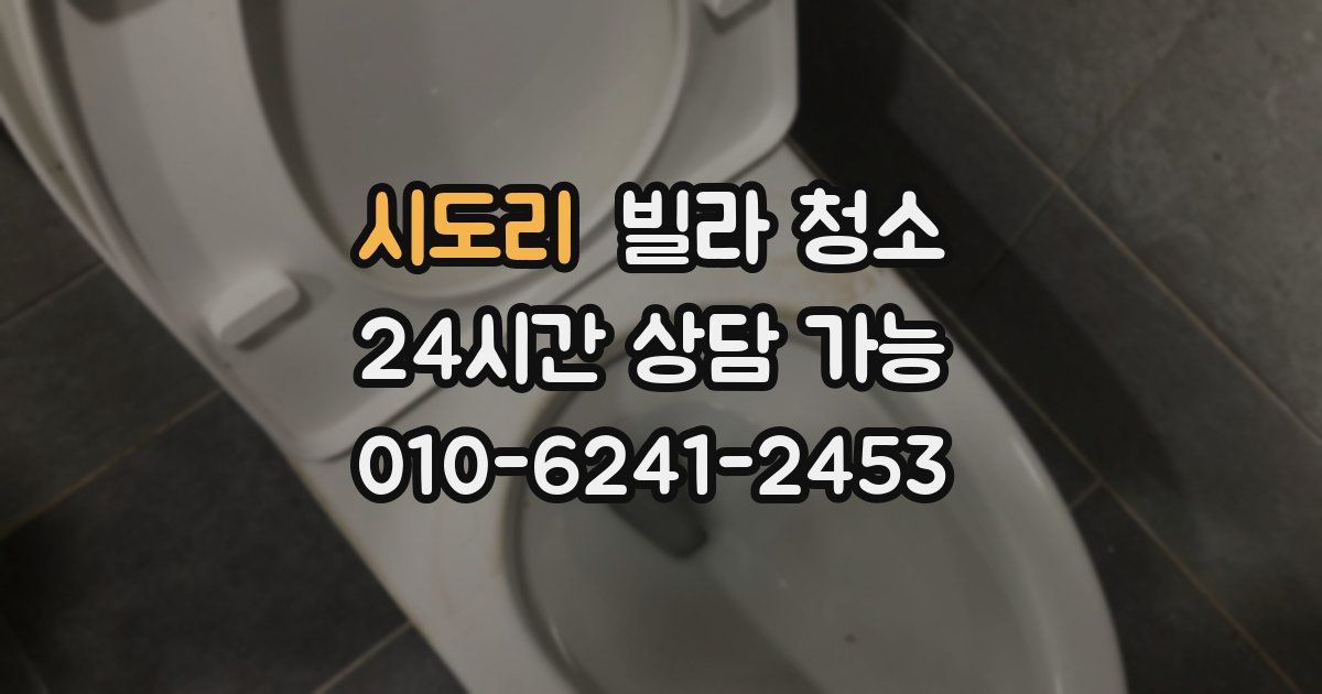 시도리 빌라 청소