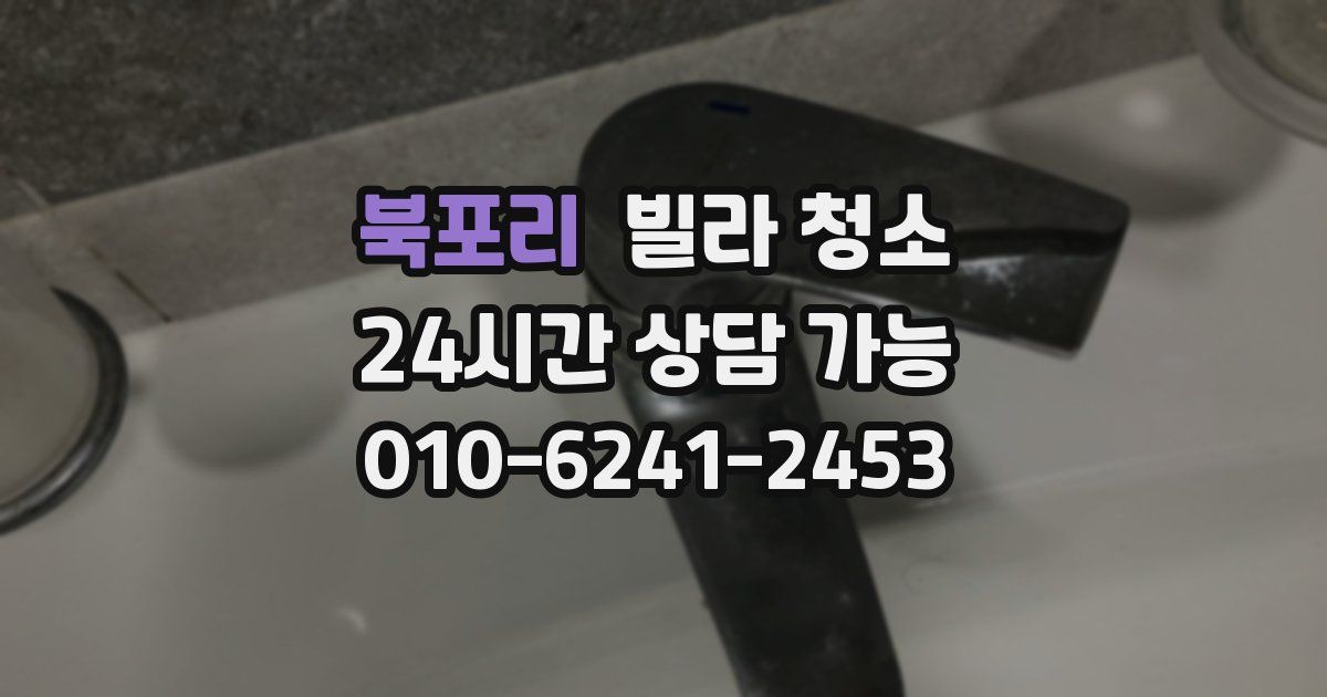 북포리 빌라 청소