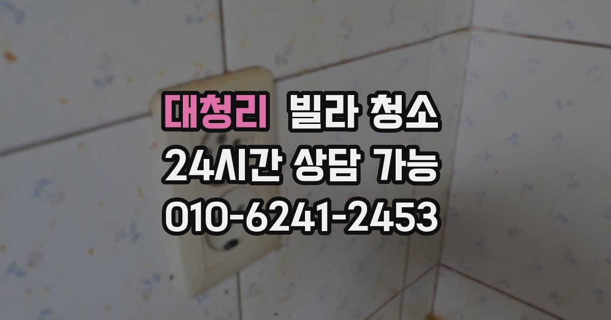 대청리 빌라 청소