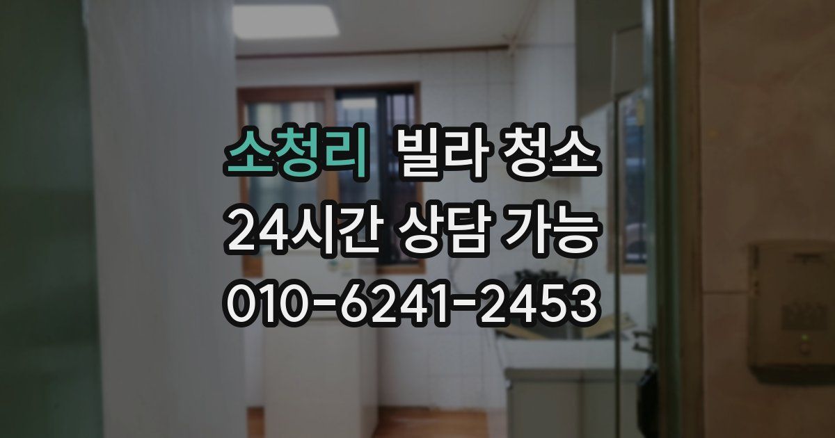 소청리 빌라 청소