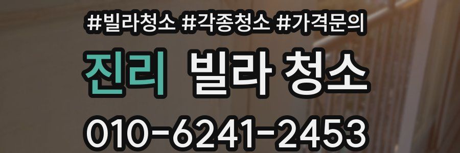 진리 빌라 청소