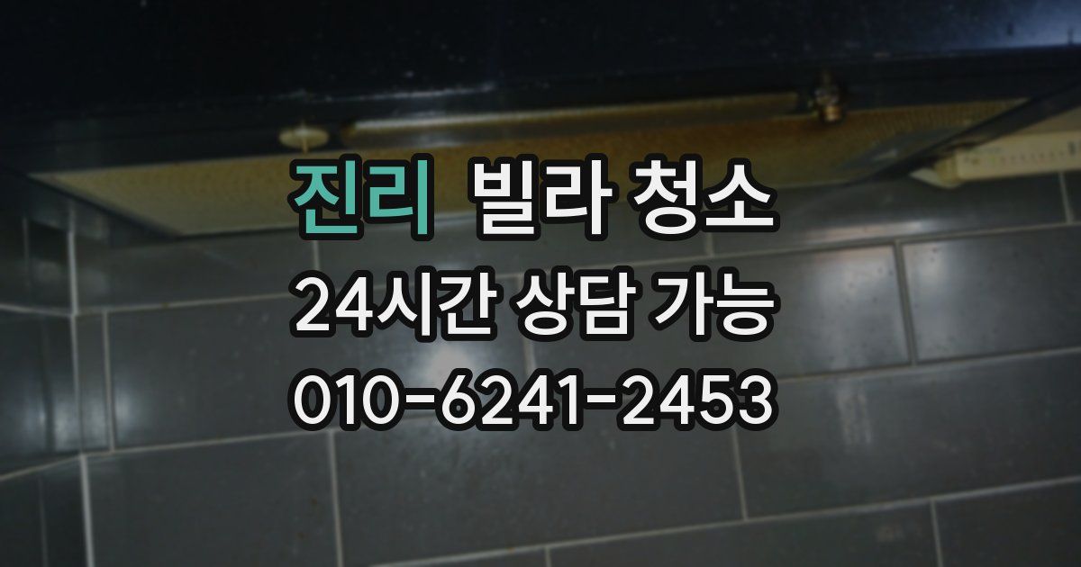 진리 빌라 청소