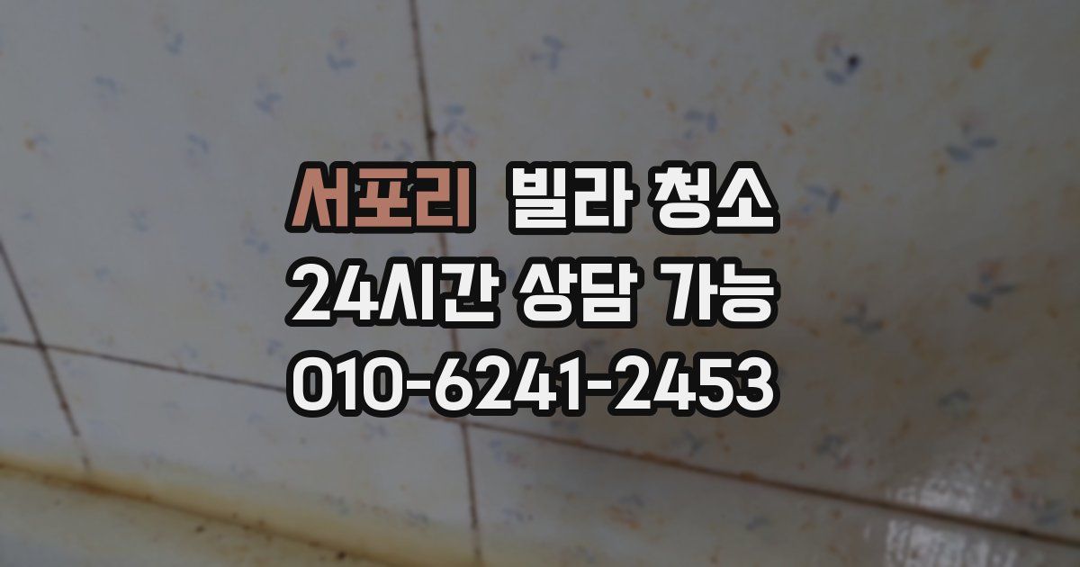 서포리 빌라 청소