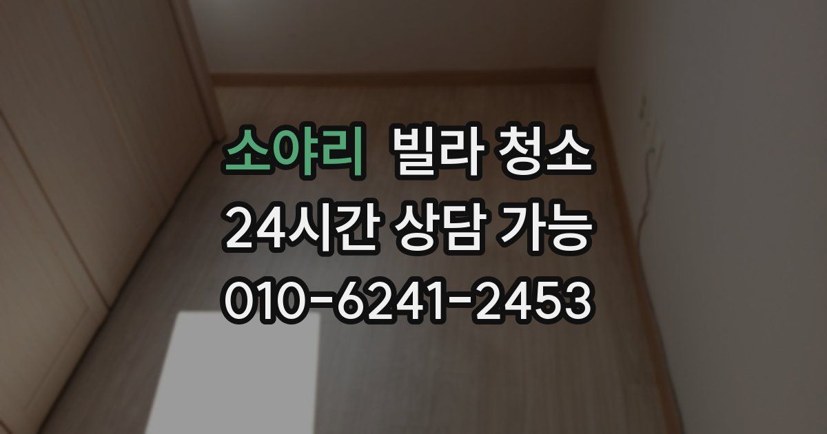 소야리 빌라 청소