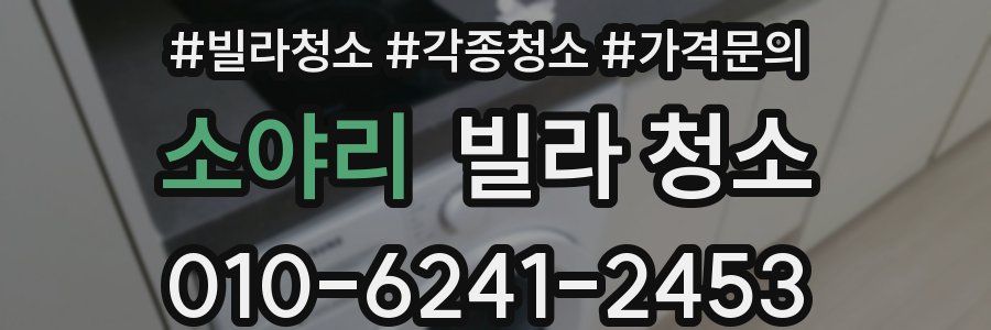 소야리 빌라 청소