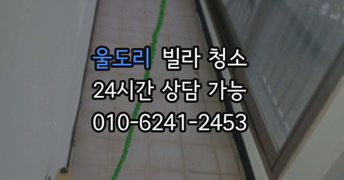 울도리 빌라 청소