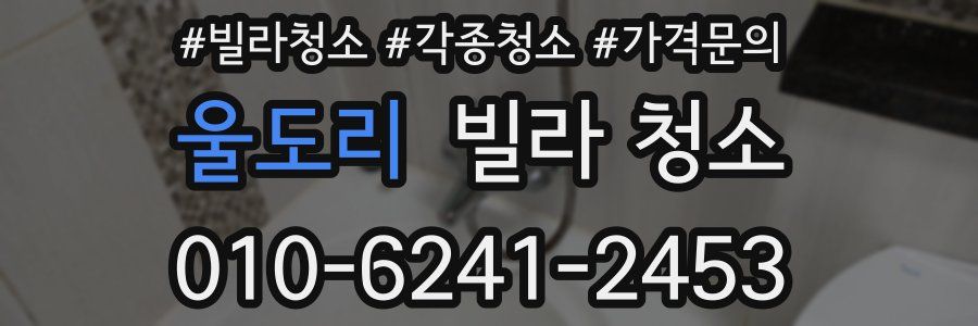 울도리 빌라 청소