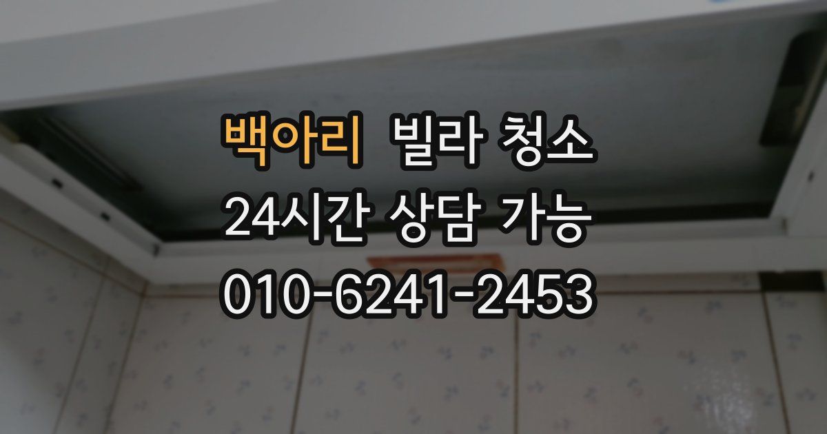 백아리 빌라 청소