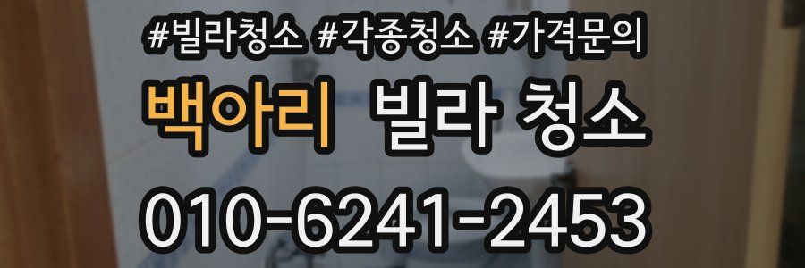 백아리 빌라 청소