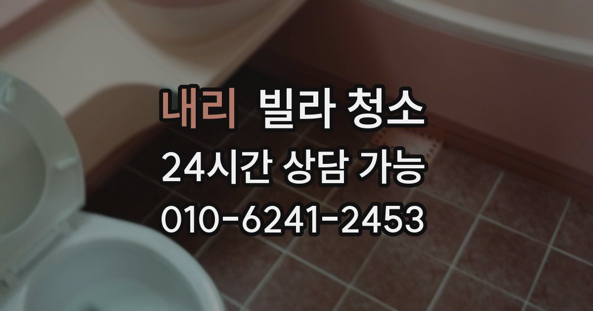 내리 빌라 청소