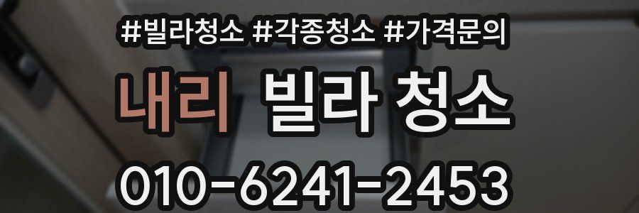 내리 빌라 청소