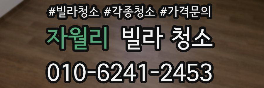 자월리 빌라 청소