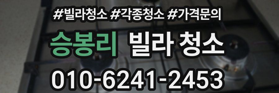 승봉리 빌라 청소