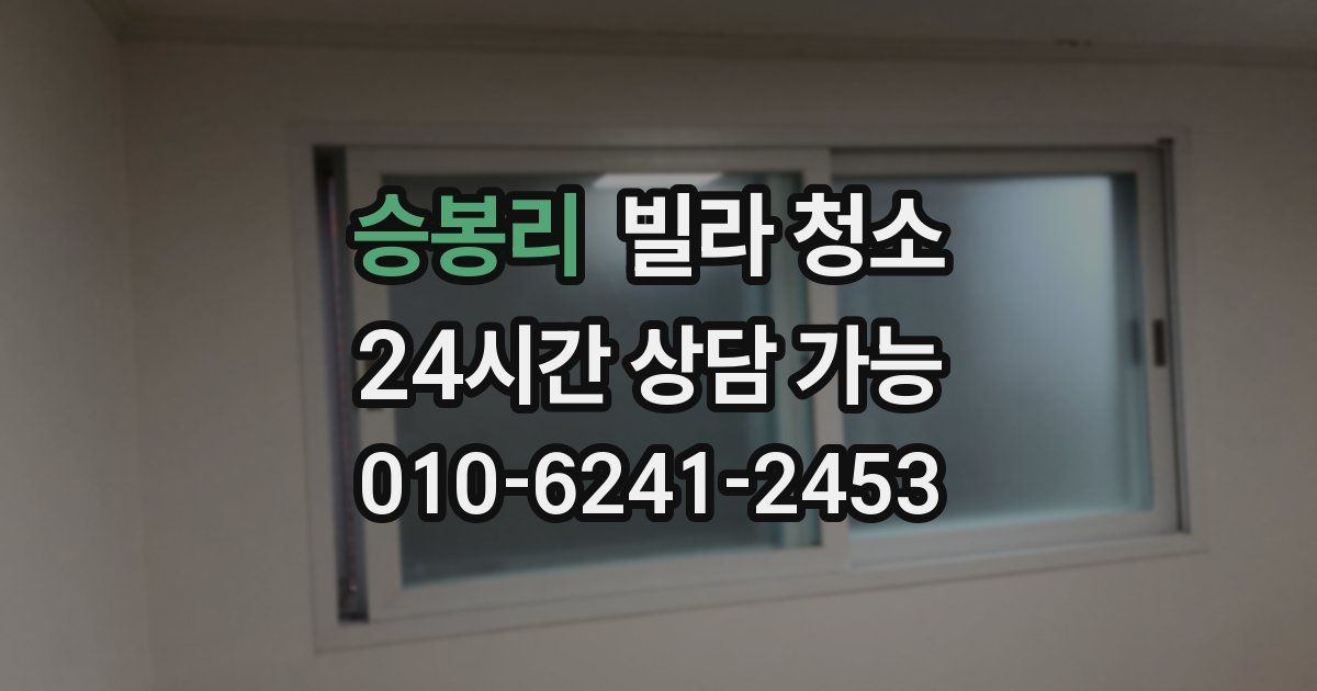 승봉리 빌라 청소