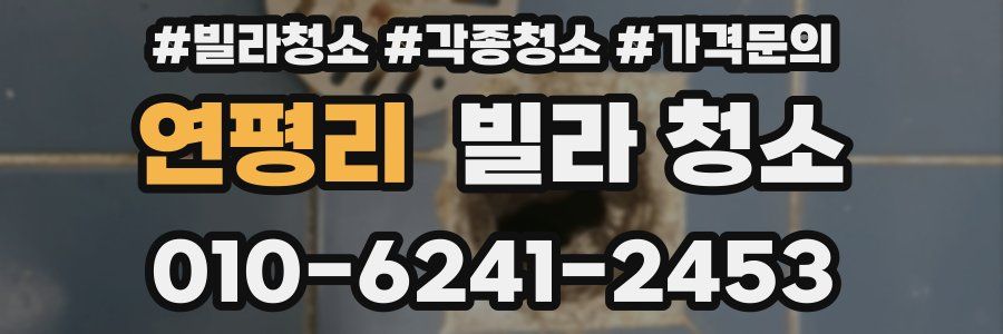 연평리 빌라 청소