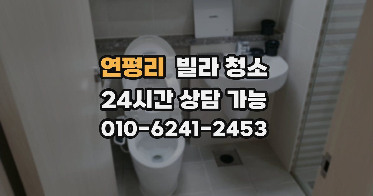 연평리 빌라 청소