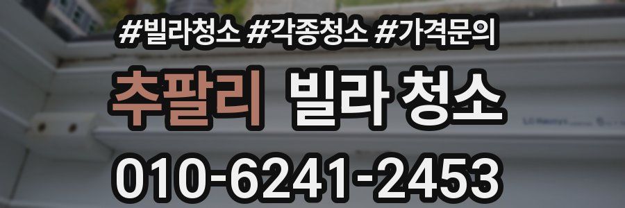 추팔리 빌라 청소