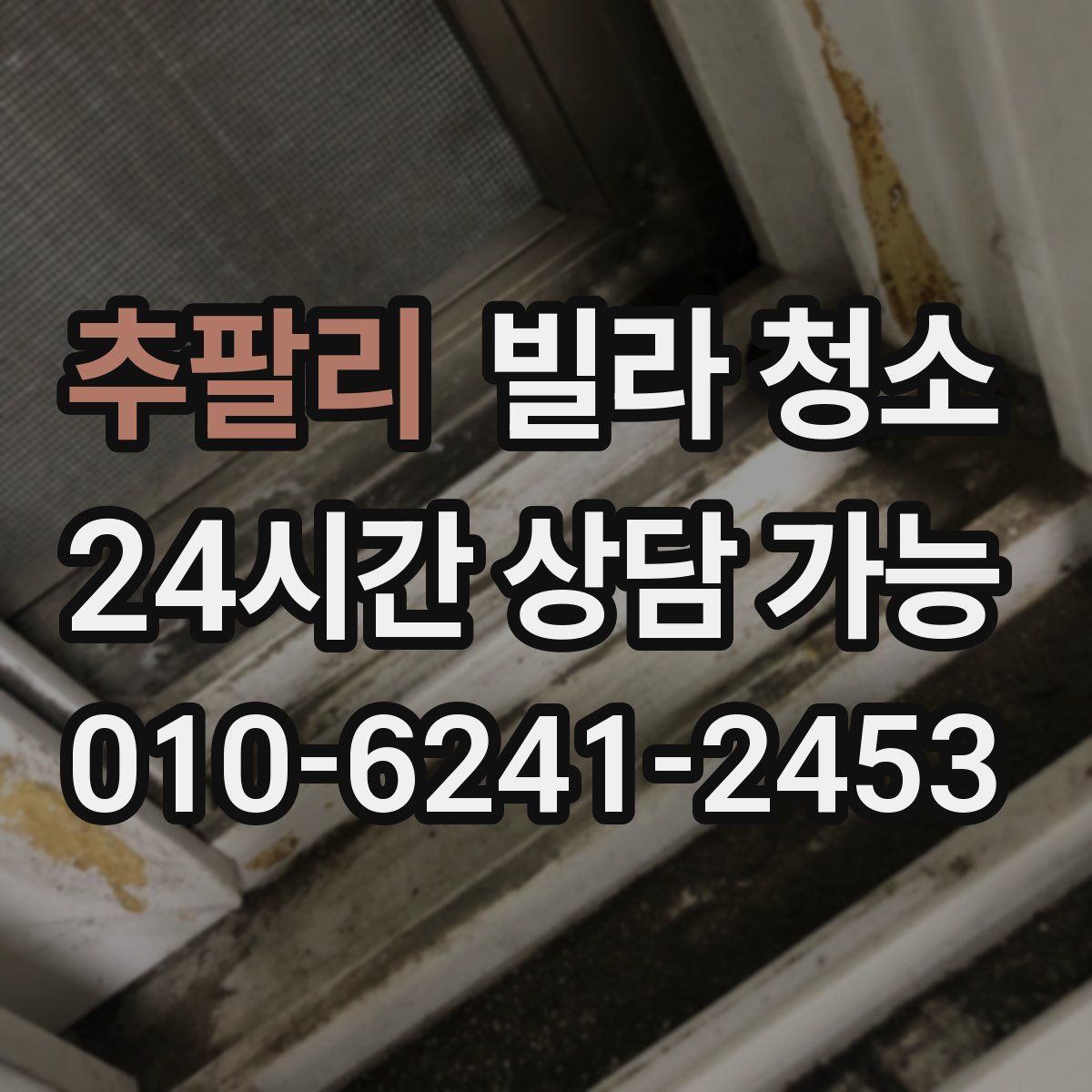 추팔리 빌라 청소