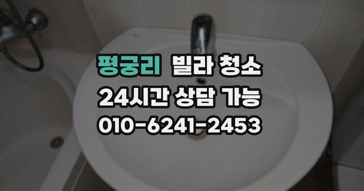 평궁리 빌라 청소