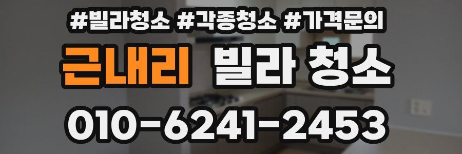 근내리 빌라 청소