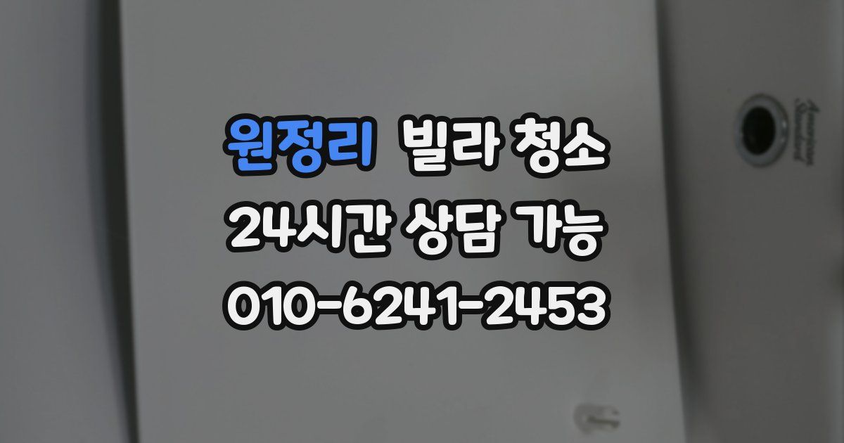 원정리 빌라 청소