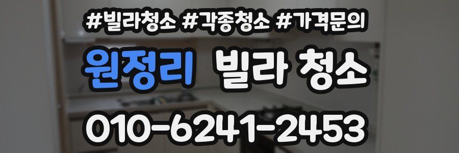 원정리 빌라 청소