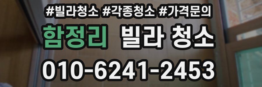 함정리 빌라 청소