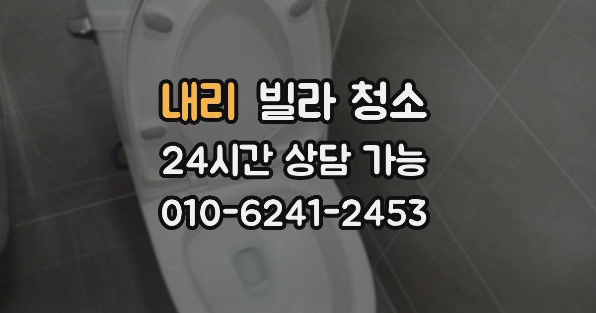내리 빌라 청소