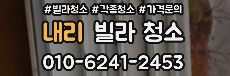 내리 빌라 청소