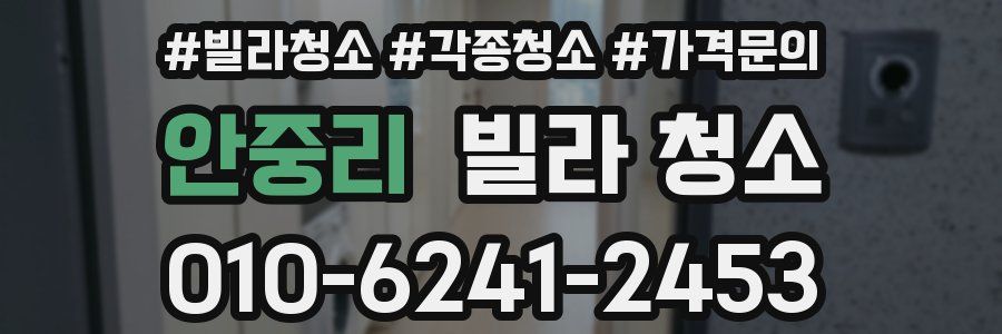 안중리 빌라 청소