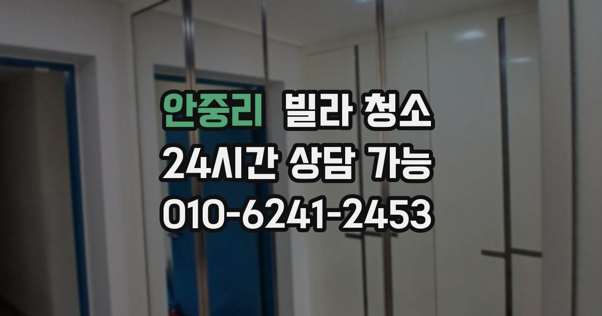 안중리 빌라 청소